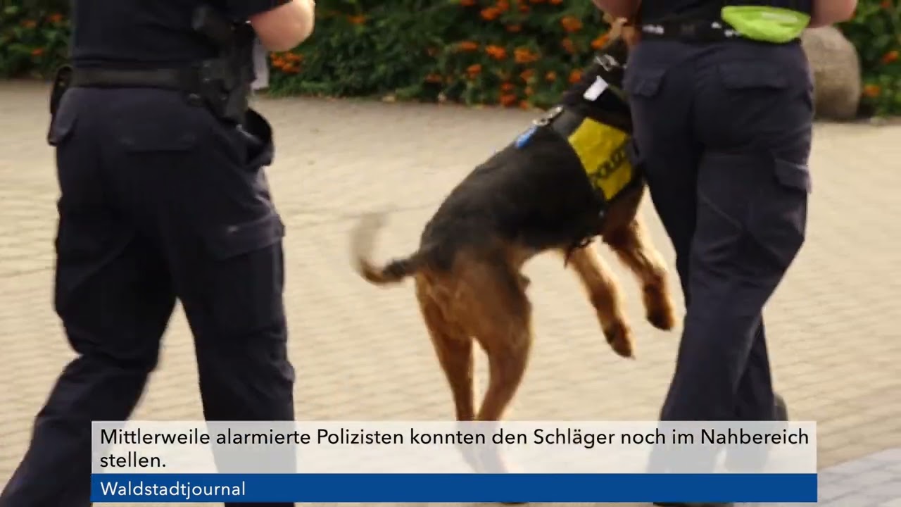 Jugendlicher Täter beschäftigt Polizei