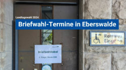 Wählen per Briefwahl in Eberswalde