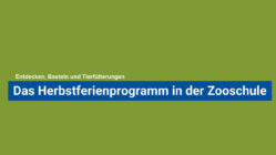 Herbstferienprogramm der Zooschule