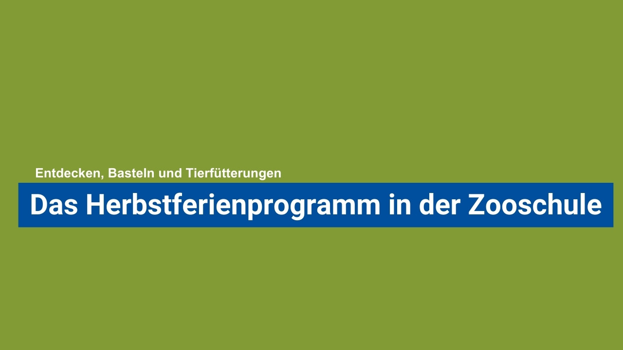 Herbstferienprogramm der Zooschule